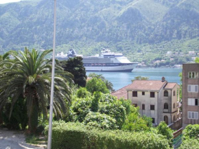 Apartment Kralj, Kotor